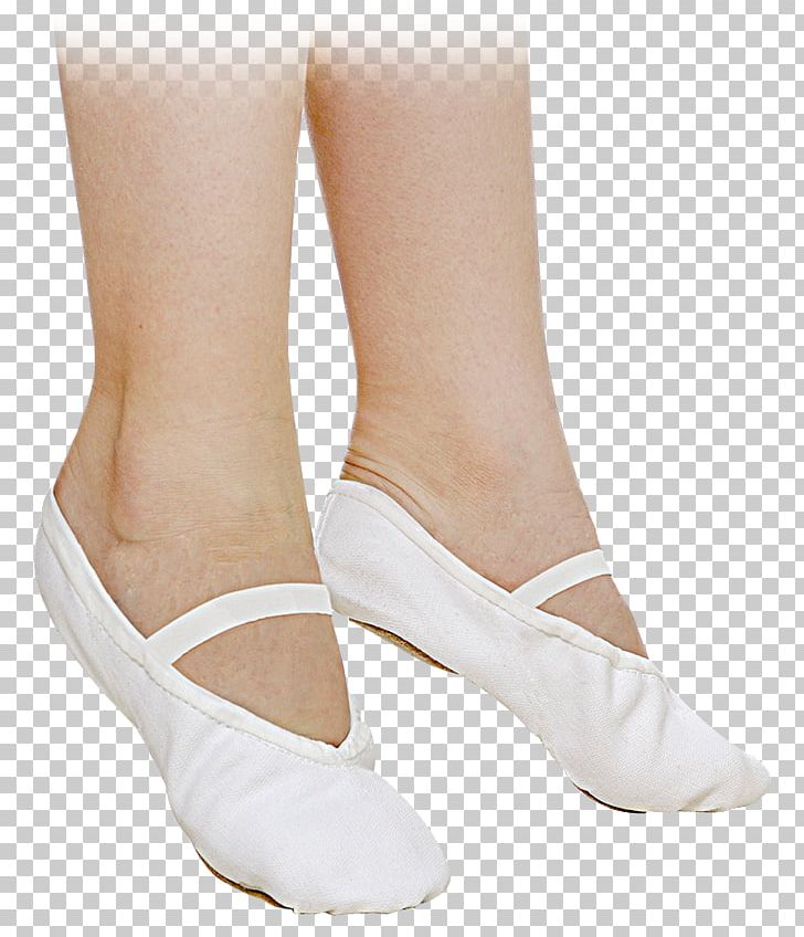 Ballet Shoe Dance Slipper Buty Taneczne PNG, Clipart, Ballet, Ballet Flat, Ballet Shoe, Buty Taneczne, Canvas Free PNG Download