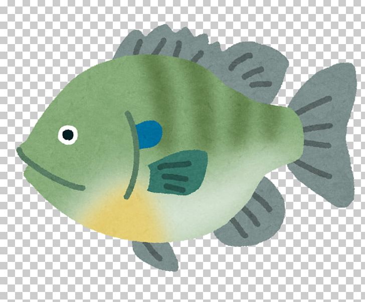 Black Basses Bluegill Angling Fishing Baits & Lures PNG, Clipart, Angling, Animal Breeding, Bait, Bass, Blattodea Free PNG Download