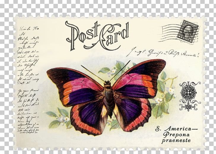 Brush-footed Butterflies Postage Stamps Mail Butterfly Prepona Praeneste PNG, Clipart, Brush Footed Butterfly, Butterfly, Butterfly Vintage, Envelope, Imprinted Stamp Free PNG Download