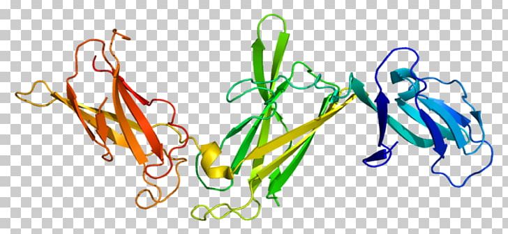 Interleukin 12 Receptor PNG, Clipart, 1 F, Area, Beta, Dendritic Cell, F 45 Free PNG Download