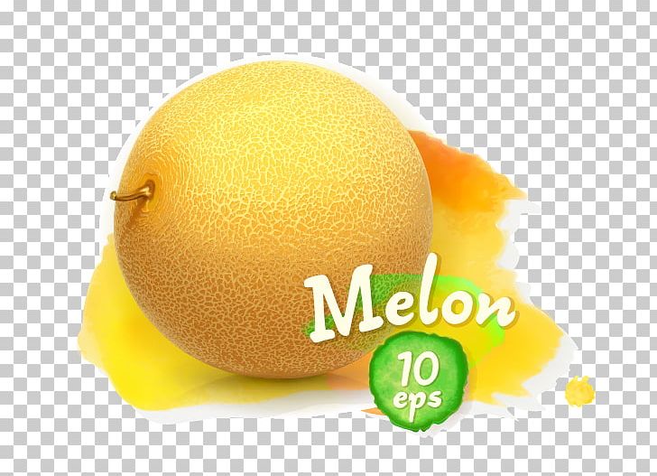 Stock Photography Fruit Illustration PNG, Clipart, Bitter Melon, Cantaloupe, Citric Acid, Citrus, Food Free PNG Download