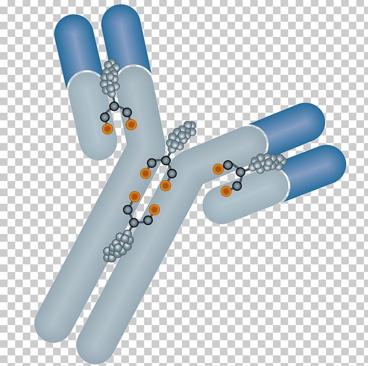 Antibody-drug Conjugate Trastuzumab Emtansine Monoclonal Antibody Immunology PNG, Clipart, Abzena, Antibody, Antibodydrug Conjugate, Bioprocess, Cancer Free PNG Download