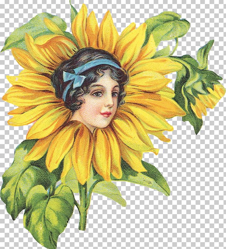 Common Sunflower Drawing Painting Decoupage PNG, Clipart, Art, Artist, Clip Art, Common Sunflower, Cut Flowers Free PNG Download
