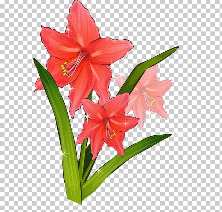 Gladiolus Flower PNG, Clipart, Amaryllis Belladonna, Amaryllis Family, Cut Flowers, Daylily, Drawing Free PNG Download