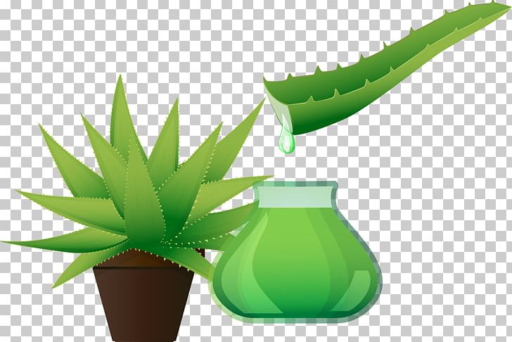 Hand-painted Aloe Extract PNG, Clipart, Aloe Vector, Aloe Vera, Computer, Computer Wallpaper, Grass Free PNG Download