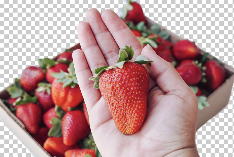 Strawberry PNG, Clipart, Berry, Fruit, Local Food, Natural Food, Strawberry Free PNG Download