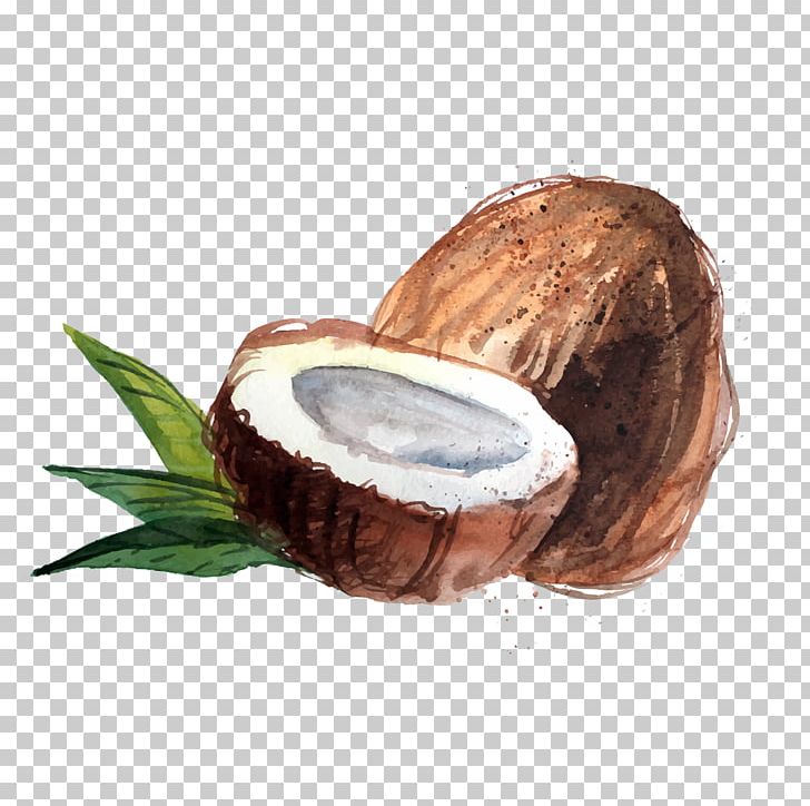 Coconut Water Raw Foodism Organic Food Coconut Oil PNG, Clipart, Arecaceae, Cartoon, Coconut, Coconut Sugar, Coconut Tree Free PNG Download