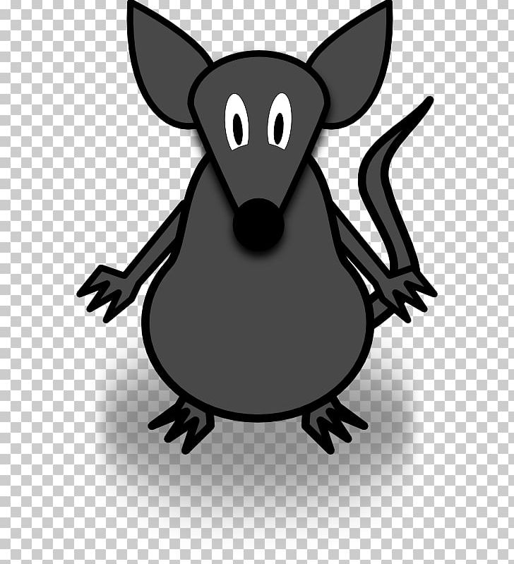 Computer Mouse PNG, Clipart, Animals, Black And White, Carnivoran, Cartoon, Computer Icons Free PNG Download