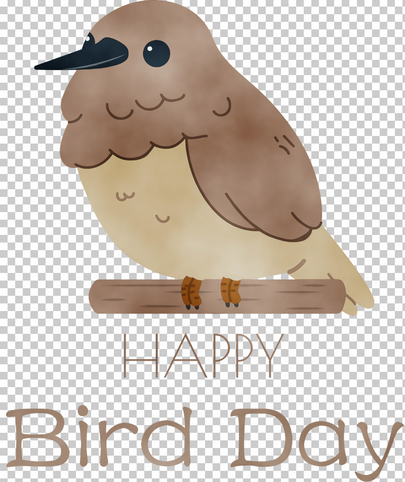 Bird Of Prey Beak Birds Meter Font PNG, Clipart, Beak, Biology, Bird Day, Bird Of Prey, Birds Free PNG Download