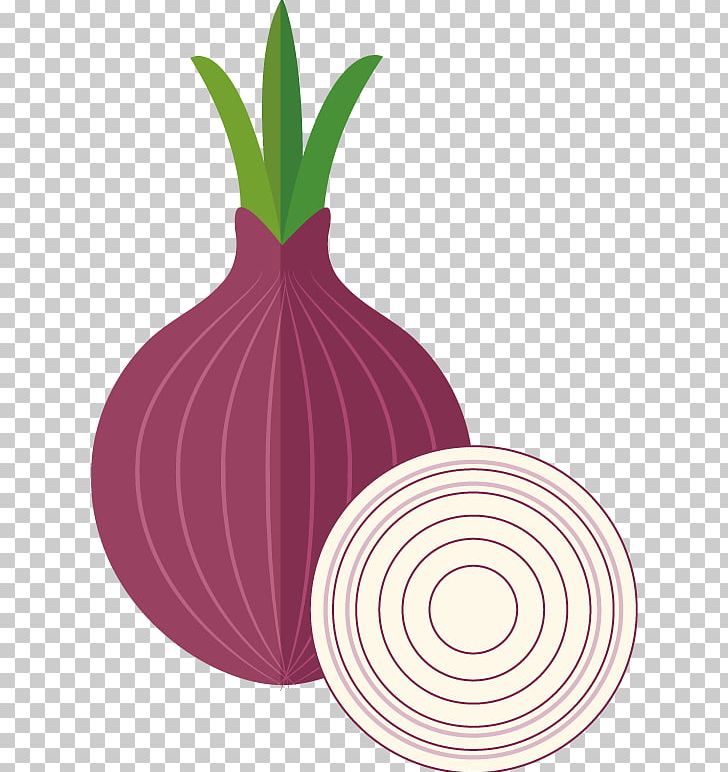 Shallot Icon PNG, Clipart, Adobe Icons Vector, Camera Icon, Creative Background, Design Vector, Flower Free PNG Download
