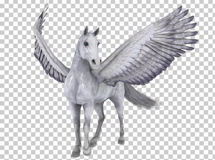 Horse PhotoScape Pegasus PNG, Clipart, Animals, Black And White, Coreldraw, Download, Fauna Free PNG Download