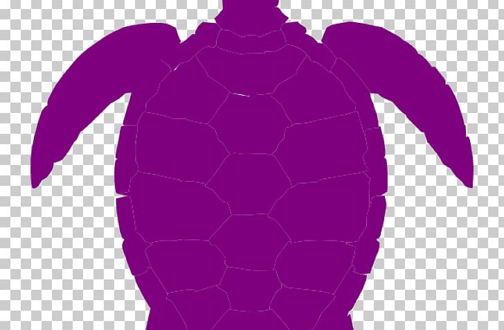 Sea Turtle Reptile Sea Creatures PNG, Clipart, Drawing, Fictional Character, Green Sea Turtle, Magenta, Organism Free PNG Download