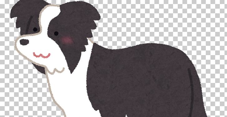 Dog Breed Border Collie Scotch Collie Poodle Australian Shepherd PNG, Clipart, Border Collie, Breed Group Dog, Carnivoran, Collie, Dog Free PNG Download