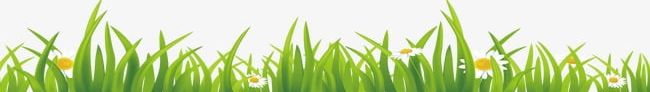 Grass PNG, Clipart, Cartoon, Cartoon Grass, Grass, Grass Clipart, Green Free PNG Download