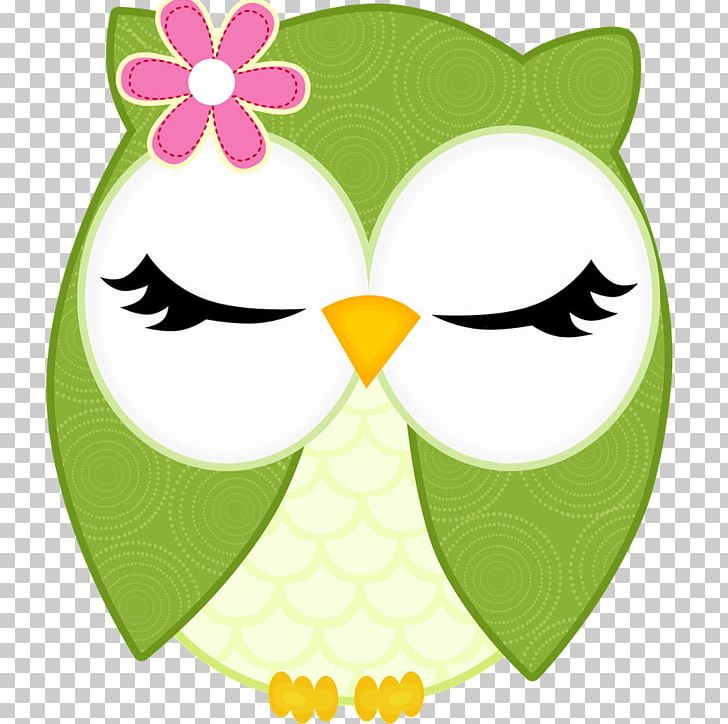 Little Owl Drawing PNG, Clipart, Animaatio, Animals, Applique, Area, Art Free PNG Download