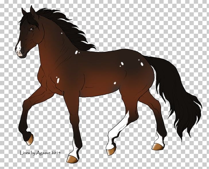 Mane Mustang Foal Stallion Colt PNG, Clipart, Bridle, Colt, Colts Manufacturing Company, Florida Kraze Krush Soccer Club, Foal Free PNG Download