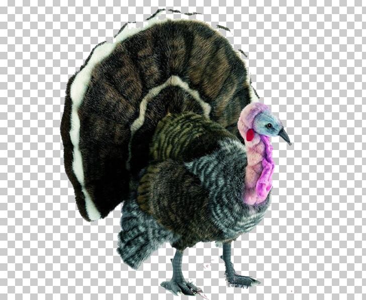 Turkey Stuffed Animals & Cuddly Toys Plush Ty Inc. PNG, Clipart, Beak, Beanie Babies, Bird, Collecting, Domesticated Turkey Free PNG Download