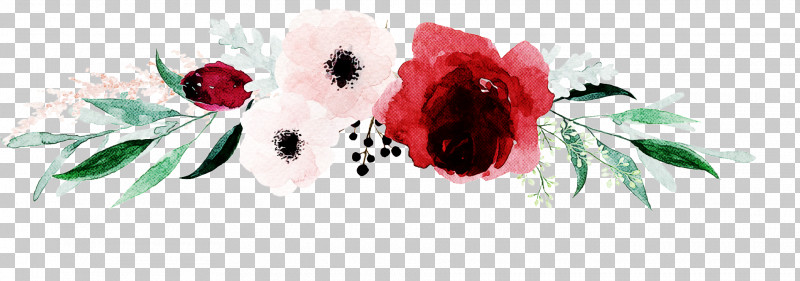 Garden Roses PNG, Clipart, Anemone, Coquelicot, Cut Flowers, Flower, Garden Roses Free PNG Download
