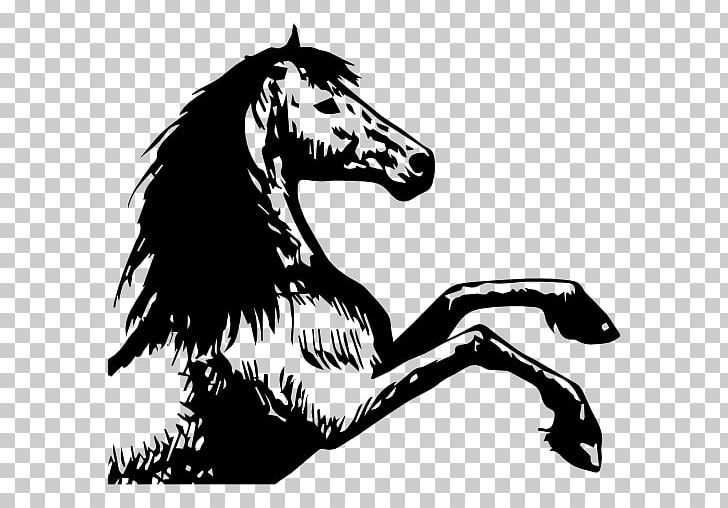 Arabian Horse Rearing Marwari Horse Drawing Horse Breeding PNG, Clipart, Arabian Horse, Art, Black, Black And White, Carnivoran Free PNG Download