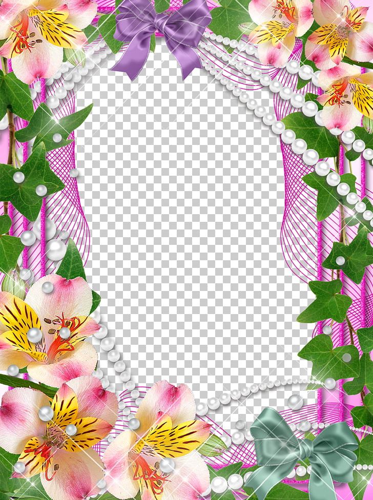 Frame Photography Orchids PNG, Clipart, Border, Border Frame, Border Frames, Borders, Christmas Frame Free PNG Download