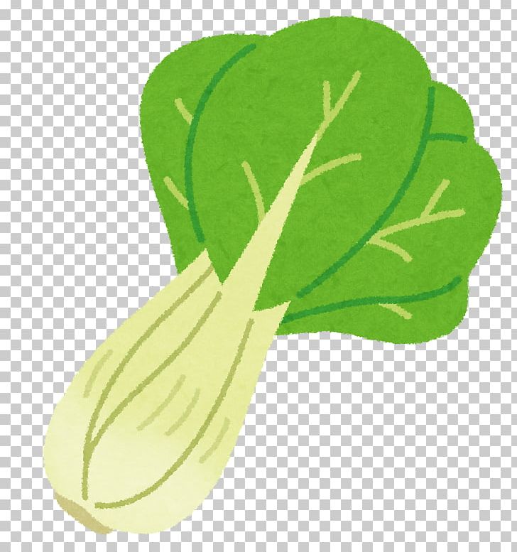Leaf Vegetable Bok Choy Chinese Cabbage Chinese Cuisine PNG, Clipart, Bok Choy, Chinese Cabbage, Chinese Cuisine, Cuisine, Food Free PNG Download