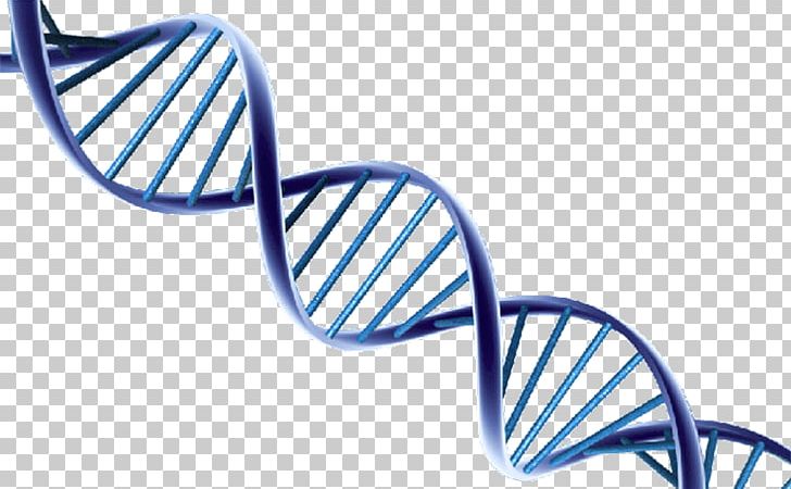 Nucleic Acid Double Helix DNA Extraction Molecular Structure Of Nucleic Acids: A Structure For Deoxyribose Nucleic Acid PNG, Clipart, Adna, Alpha Helix, Dna, Dna Core, Dna Sequencing Free PNG Download