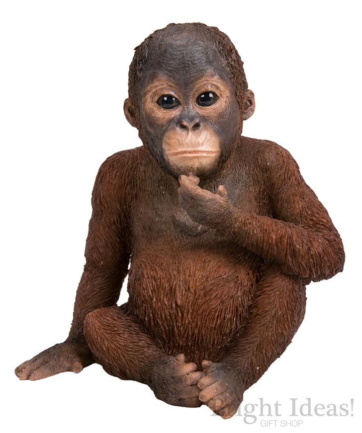 Orangutan The Arts Infant Statue Gift PNG, Clipart, Animal, Animals, Art, Arts, Common Chimpanzee Free PNG Download