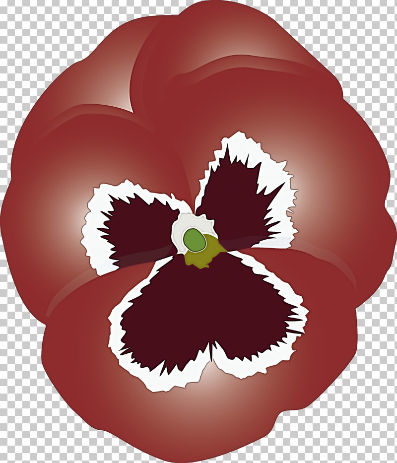 PANSY Spring Flower PNG, Clipart, Flower, Pansy, Petal, Plant, Poppy Family Free PNG Download