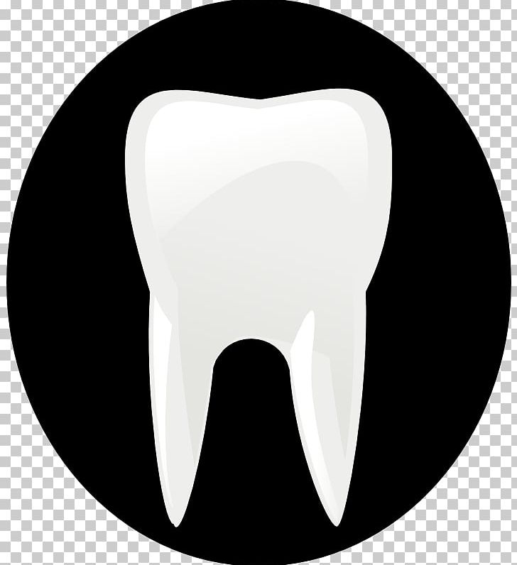 Dentistry Tooth PNG, Clipart, Angle, Black And White, Dental Hygienist, Dental Implant, Dentist Free PNG Download
