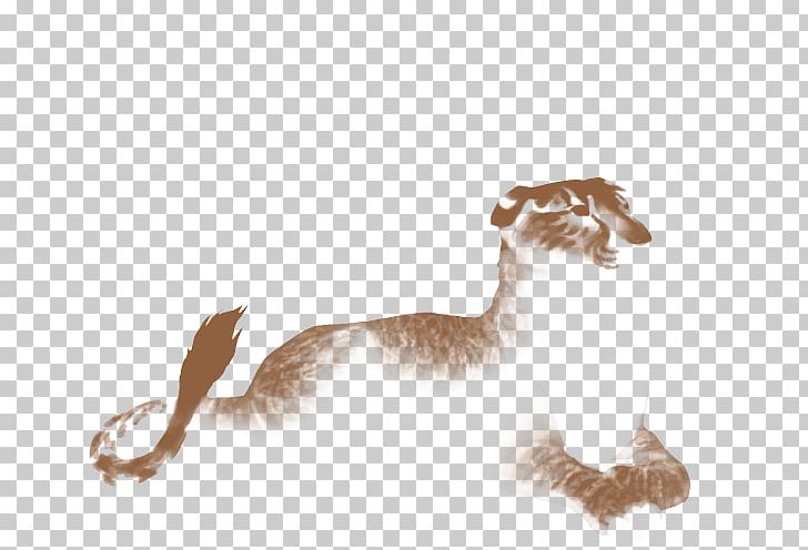 Dog Cat Camel Fur Canidae PNG, Clipart, Animals, Camel, Camel Like Mammal, Canidae, Carnivoran Free PNG Download
