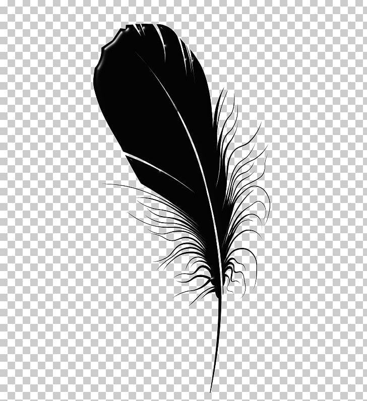 Feather Chemical Element Quill Leaf Blog PNG, Clipart, Black, Black And White, Black Feathers, Black M, Blog Free PNG Download