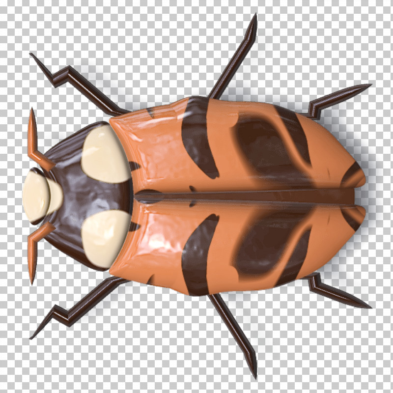 Insect Cockroach PNG, Clipart, Cockroach, Insect Free PNG Download