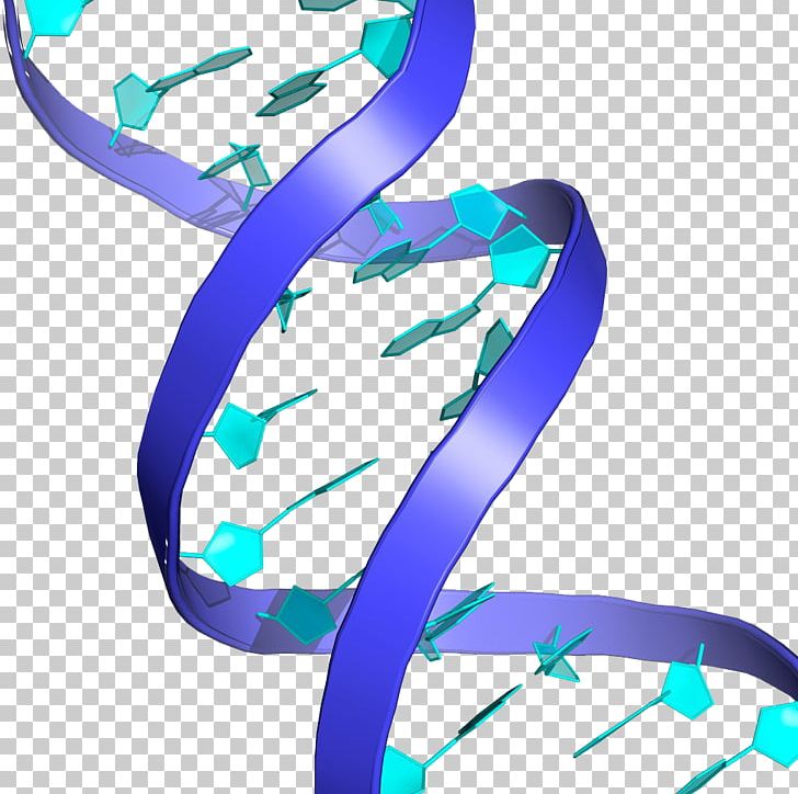 DNA Nucleic Acid Double Helix Genetic Testing Stock Photography Biology PNG, Clipart, Aqua, Blue, Can, Cartoon, Cartoon Hand Painted Free PNG Download