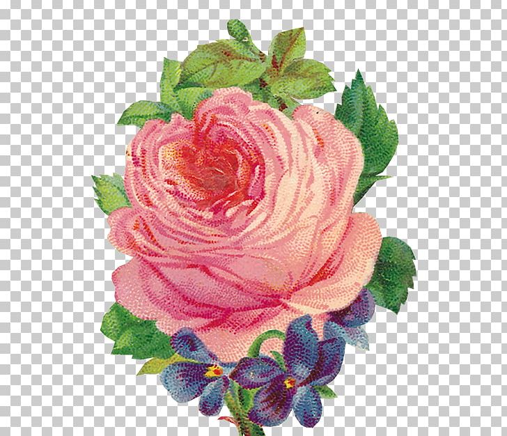 Garden Roses Bokmärke Flower PNG, Clipart, Blog, Blume, Cut Flowers, Floral Design, Floristry Free PNG Download