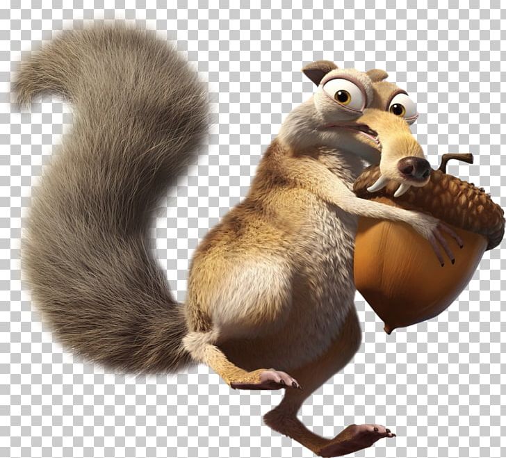 Scrat Ice Age Film YouTube Animation PNG, Clipart, Animals, Animation, Carlos Saldanha, Chris Wedge, Fauna Free PNG Download