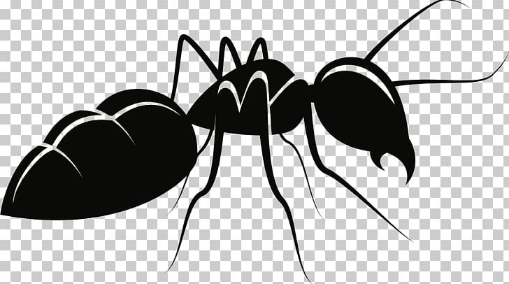 Ant Mosquito Insect PNG, Clipart, Ant, Arthropod, Black And White, Black Garden Ant, Can Stock Photo Free PNG Download