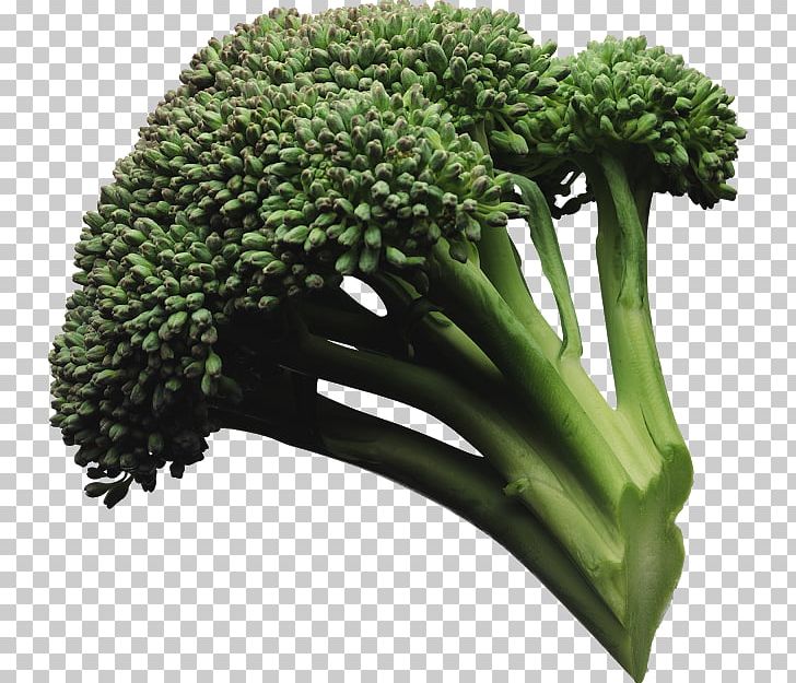Broccoli Slaw Vegetable Coleslaw PNG, Clipart, Brassica Oleracea, Broccoli, Broccoli Slaw, Cabbage, Cauliflower Free PNG Download