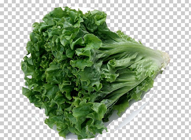 Celtuce Chinese Cuisine Organic Food Leaf Vegetable Romaine Lettuce PNG, Clipart, Background Green, Celtuce, Chinese Cabbage, Chinese Cuisine, Food Free PNG Download