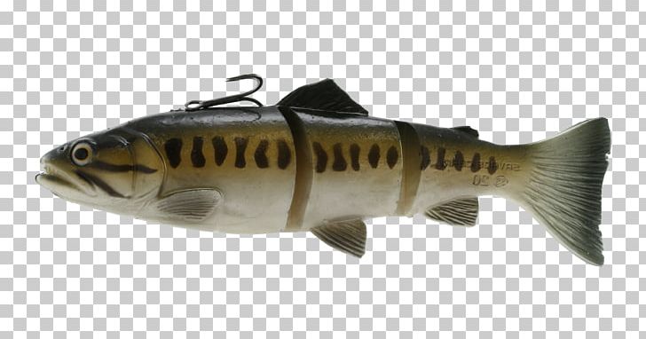 Trout Tackle Fishing Bait Fly Fishing PNG, Clipart, Angling, Bass, Bass Fishing, Bony Fish, Cod Free PNG Download