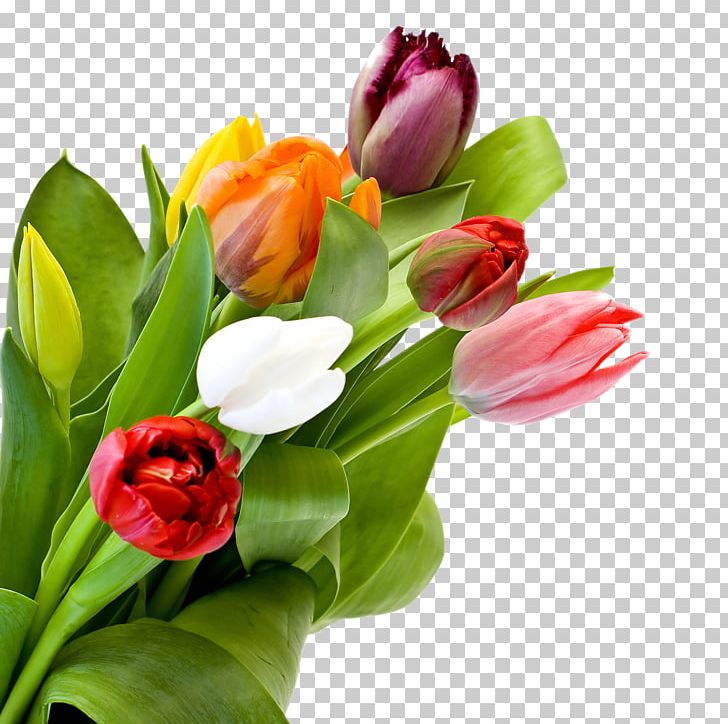 Tulip Flower Bouquet Desktop Rose PNG, Clipart, Color, Cut Flowers, Desktop Wallpaper, Floral Design, Floristry Free PNG Download