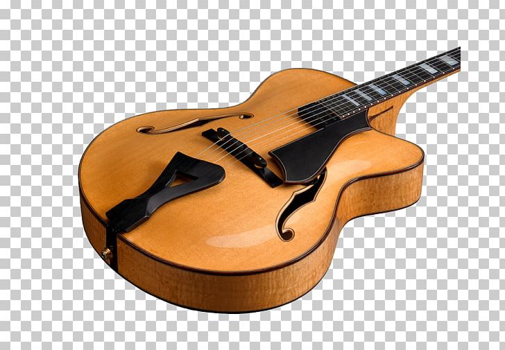 Acoustic Guitar Bass Guitar Cuatro Bass Violin PNG, Clipart, Acoustic Guitar, Acoustic Music, Bass Violin, Cuatro, Double Bass Free PNG Download