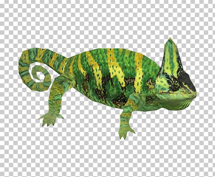 Chameleons Lizard Reptile Iguanomorpha Veiled Chameleon PNG, Clipart, Amphibian, Animal, Animal Figure, Animals, Chameleon Free PNG Download