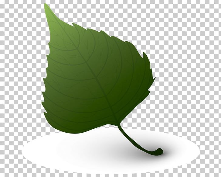 Leaf Green Color PNG, Clipart, Blue, Color, Element, Green, Leaf Free PNG Download