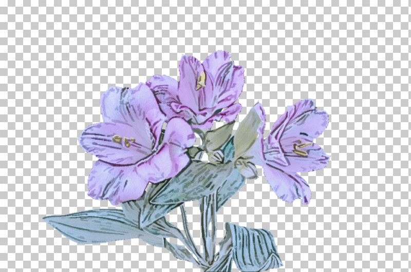 Floral Design PNG, Clipart, Biology, Cut Flowers, Floral Design, Flower, Petal Free PNG Download