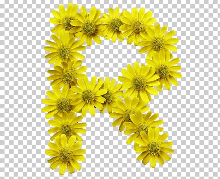 Flower Letter Typeface Typography Font PNG, Clipart, Alphabet, Chrysanths, Common Sunflower, Cut Flowers, Daisy Family Free PNG Download