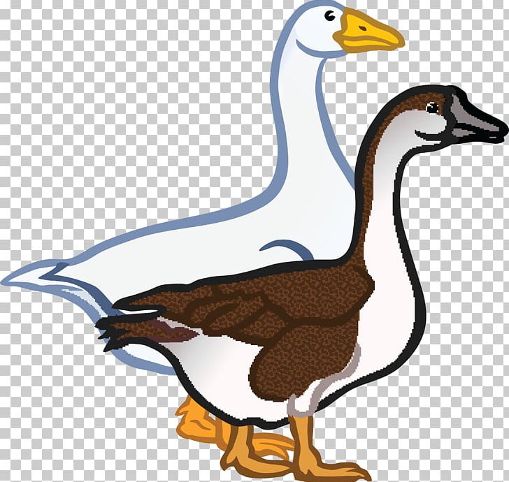 Goose Duck PNG, Clipart, Animal Figure, Animals, Beak, Bird, Canada Goose Free PNG Download