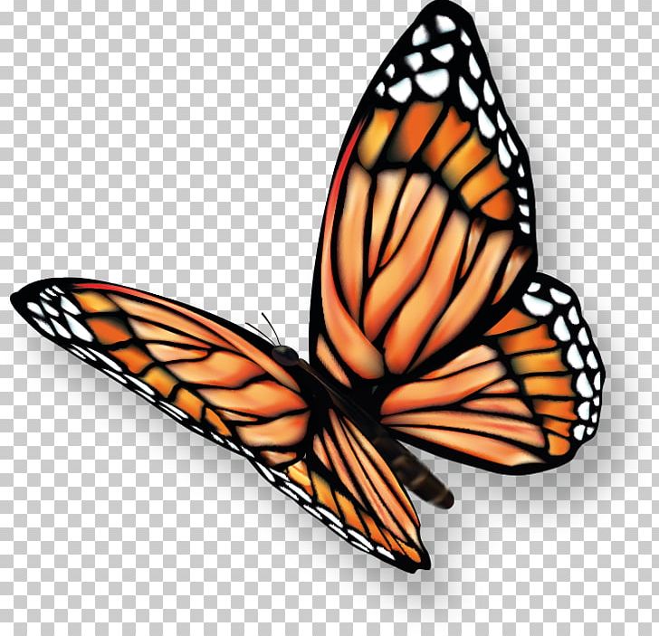 Monarch Butterfly Pieridae PNG, Clipart, Arthropod, Brush Footed Butterfly, Butterflies And Moths, Butterfly, Color Free PNG Download