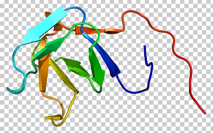 PLCG1 SH3 Domain Phosphoinositide Phospholipase C PNG, Clipart, Antigen, Area, Artwork, Gene, Histamine H2 Receptor Free PNG Download