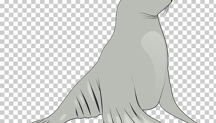 Sea Lion Finger Line Art Character PNG, Clipart, Animals, Beak, Bird, Carnivoran, Character Free PNG Download