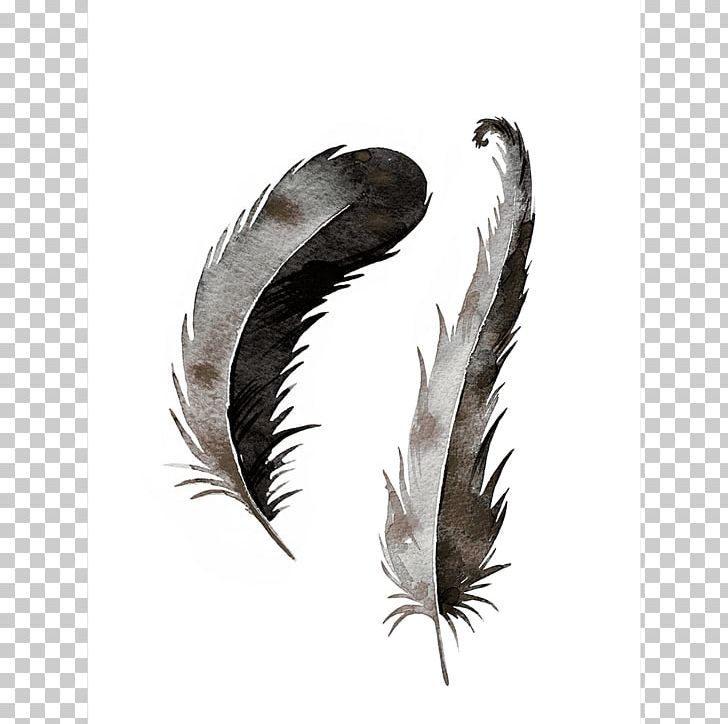 Feather Printing Color PNG, Clipart, Animals, Color, Feather, Flourishing, Printing Free PNG Download